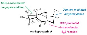 ent-hypocoprin A and B